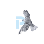 PLAN4LOGO (1)